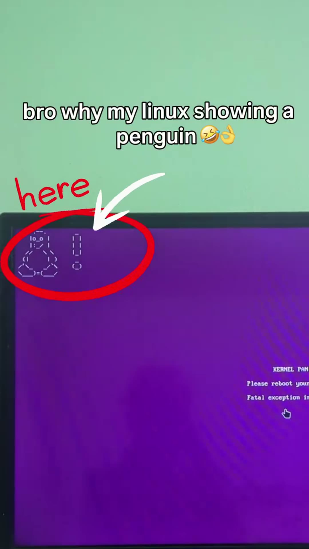 penguin panik 😔🥀 #tech #linux #memes #kernel #linuxuser by @gnome / Smolish